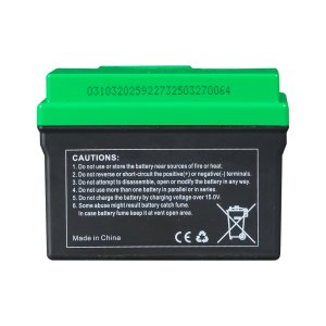 Аккумулятор FUBAG li-ion 3Ah для инверторного генератора TI 11000 A ES (арт. 646211) купить в Петрозаводске