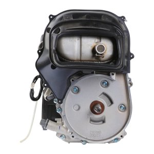 Двигатель DJ152F в сборе для цифрового генератора FUBAG TI 2300 Двигатель DJ152F в сборе для цифрового генератора FUBAG TI 2300